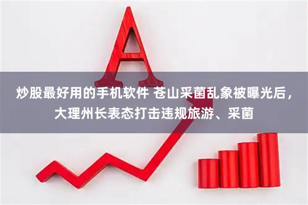 炒股最好用的手机软件 苍山采菌乱象被曝光后，大理州长表态打击违规旅游、采菌
