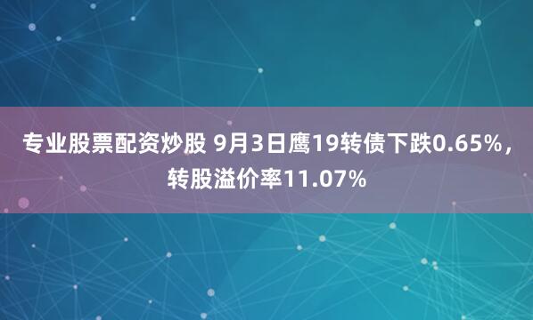 专业股票配资炒股 9月3日鹰19转债下跌0.65%，转股溢价率11.07%
