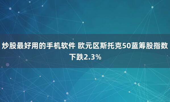 炒股最好用的手机软件 欧元区斯托克50蓝筹股指数下跌2.3%