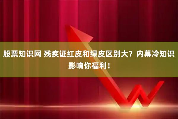 股票知识网 残疾证红皮和绿皮区别大？内幕冷知识影响你福利！