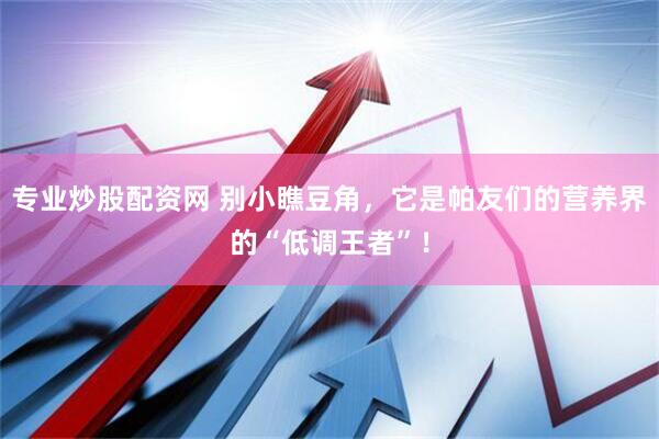 专业炒股配资网 别小瞧豆角，它是帕友们的营养界的“低调王者”！